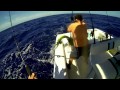 whackemandstackem 2013 (fishing and spearfishing the Bahamas and Florida)