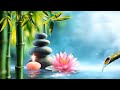 Music For Studying🎵 Relaxing Music, Best Collection! Relaxing Water Sound - Soothing - Soft Music!