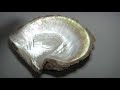 Turning Sea Shells Into Gold