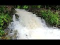 Forest Waterfall 2 - Hurricane Beryl Edition