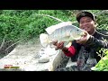 SPOT BARU..!!! Mancing Ikan NILA BABON Joran Sampai Bergetar Senar Sampai Putus