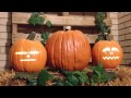 This is Halloween - Singing Pumpkins Animation Effect