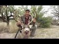 Desert Mule Deer Taken With Longbow