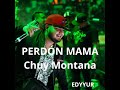 Perdon Mama (feat. Chuy montana.)