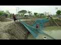 যশোরের বিখ্যাত চাঁচড়া হ্যাচারী পল্লীর পোনা মাছ || Panorama Documentary