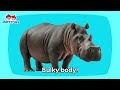 King of the Animals | Animal Songs Compilation | Kids Songs | Cartoon | JunyTony