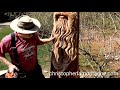 Chainsaw Carving a Tree spirit