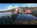 Am to Pm BREAM Fishing Struggle