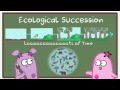 Ecological Succession: Nature's Great Grit