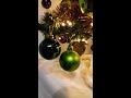 Pet-Quail Havoci Discovers Christmas Tree