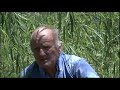 BACK from the BRINK  |  Full movie. |  Starring Peter Andrews OAM
