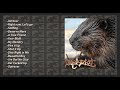 Limp Bizkit - Smelly Beaver [FULL ALBUM]