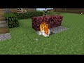 (MINECRAFT SMP) BEATING THE ENDER DRAGON