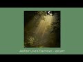 Imagine you're sitting in the woods - playlist