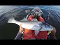 Kayaking Glass Calm Waters Searching for Big Stripers