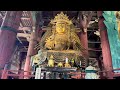 奈良 東大寺 鹿 Nara Todaiji Temple Deer