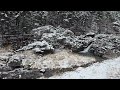 The cold sound of the waterfall at Yongchu Falls in winter, filled with beautiful snow scenery ASMR