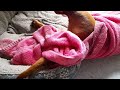 Hilarious Dachshund Hides under the Pink Blanket - Let's Find Her #dachshund