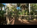 Relaxing boardwalk peacefull meditation, water, nature, lakeside Apopka 2022 in 360 video
