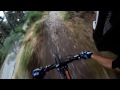 A forest - MTB All mountain