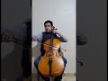 Memory cello cover. #cellocover #musica #coversong #music #instrumentalcover #cello