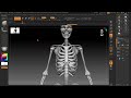 Zbrush | Torso sculpting (with narrations)