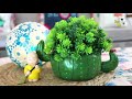 #wallputty 5 Amazing Garden DIYs from waste items (Part 1)  | Wall Putty Planter | Best out of waste