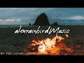 Fireside Folk 🔥 - An Indie/Chill/Acoustic Campfire Playlist