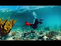 360° Underwater National Park | National Geographic