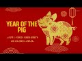 6 Luckiest Chinese Animal Zodiac Signs in 2023 | Ziggy Natural