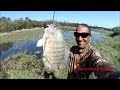 #PESCA SURPREENDENTE: #TILÁPIA GIGANTE CAPTURADA COM UM SIMPLES ESTILINGUE.