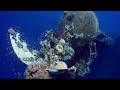 The Deep Sea: Earth's Hidden Universe | Journey to the Abyss