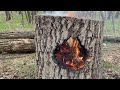 Building of a shelter inside a fallen tree with autonomous heating