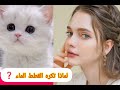 هل تعلم ❓#ماهو _عدم_حب_القطط_🐈_للماء#شاهد_وتعرف_🐈😽👍