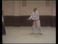 Aikido - Practicando con el Maestro