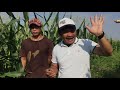 Sweet Corn Farming In The Philippines II Anu ang Tamang Diskarte sa Pag tanim ng Sweetcorn