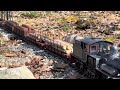 Shay’s Up and Down the Mountain! G Scale Logging Train!