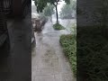 Flip Flop's in the Rain