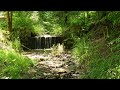 Relaxační zvuk tekoucí vody pro odpočinek a meditaci #relaxingvideo #flowingwater #calm #nature