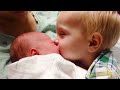 Priceless Moments When Toddler Meets Newborn