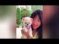 Cute Pomeranian Puppies Doing Funny Things #23🐶😅Cute and Funny Dogs 2024