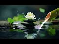 Bamboo Water Fountain Healing 24/7 自然の音とともにピアノ音楽をリラックス バンブーウォーターファウンテン 【癒し音楽BGM】