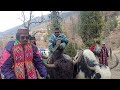 yak ride kullu manali#trending #funny #manalitrip