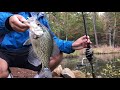 Tips for Catching SLAB Crappie on Artificials