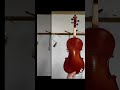 Viola Neck grafing - medio mango viola