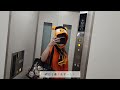 【Vlog】2024.6.14⚾長野久義に初めて会った日🧡エスコンフィールド北海道/ジャイアンツ/巨人/ファイターズ戦/野球観戦