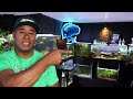 Top 10 Colorful Freshwater Aquarium Fish