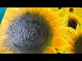 Painting Sunflowers for Ukraine 🇺🇦  | ASMR