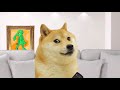 Doge becomes a YouTuber