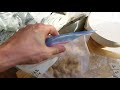 Ginger Harvest Gardening Hack: How to Start Ginger in a Ziploc Bag & Gain 1-3 Months Growing Time